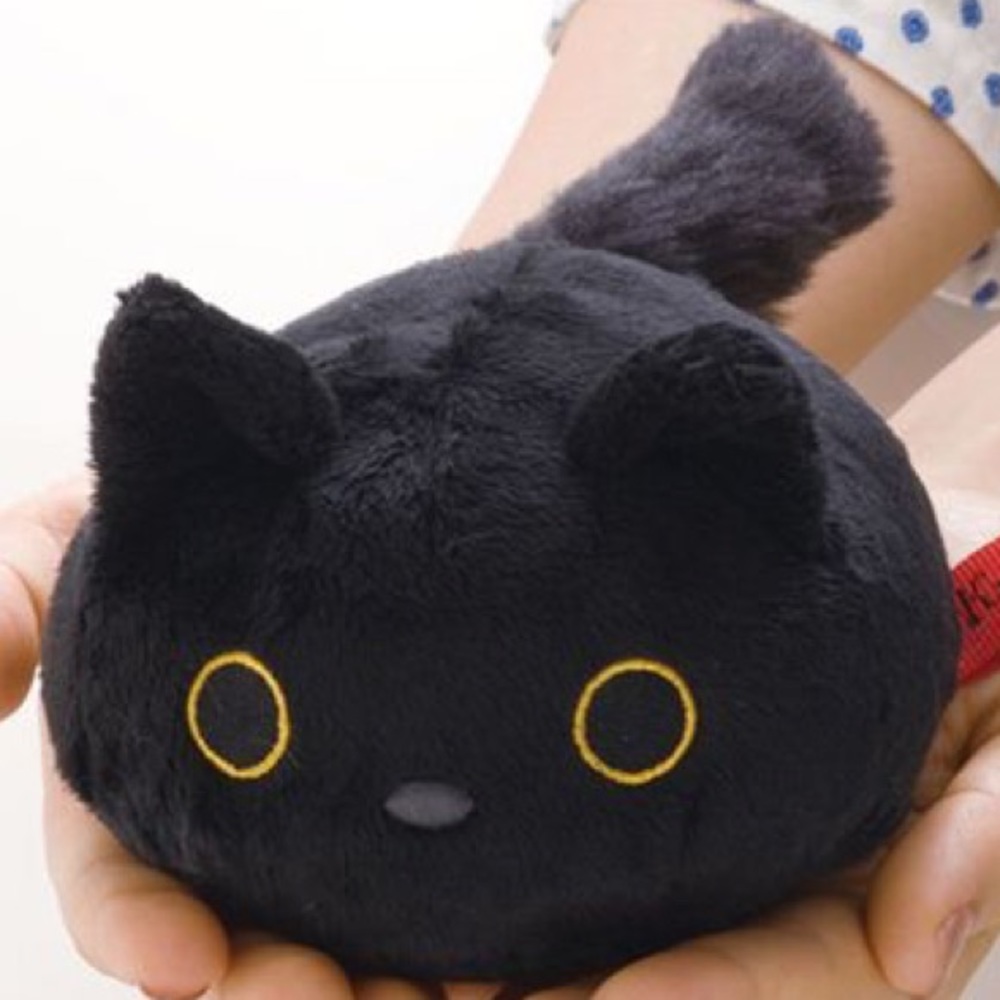 Meet your Posher, Dani